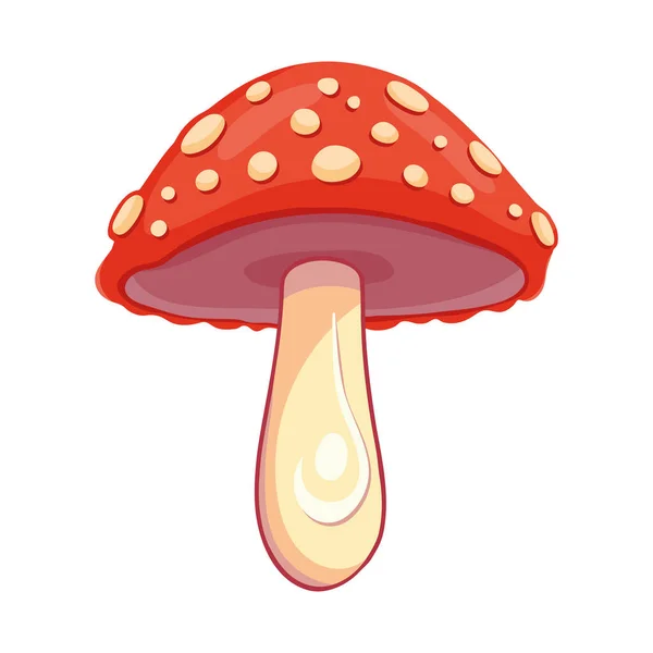 白の上に赤い真菌のイラストデザイン — ストックベクタ