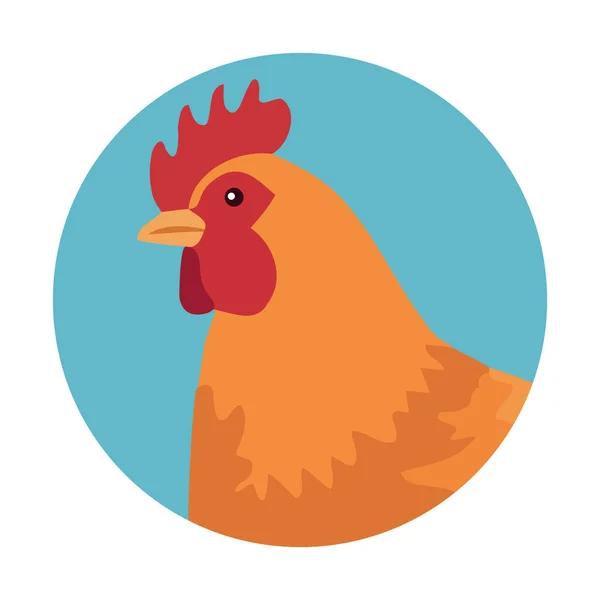 Rooster Yellow Background Farm Symbol Icon Isolated — Stock Vector