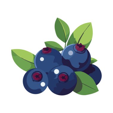 Olgun meyve yeşil yaprak dal simgesi izole