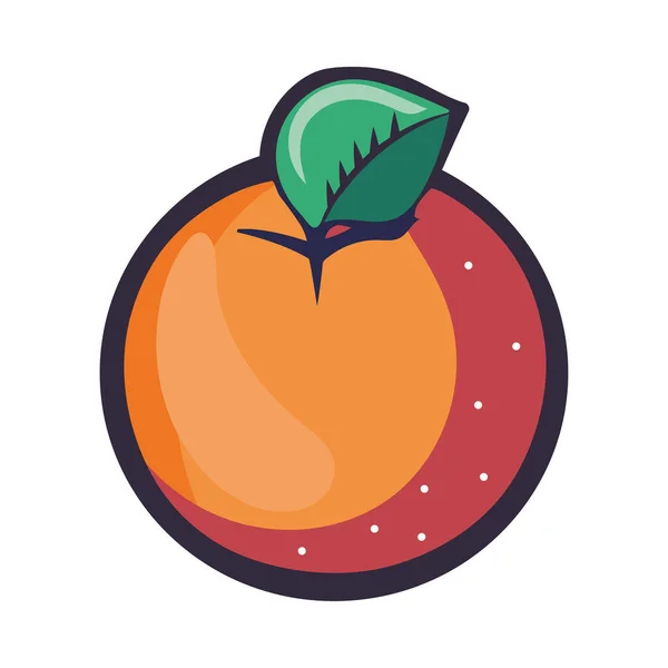 Juicy Peach Ripe Sweet Summer Snack Icon Isolated — Stock Vector