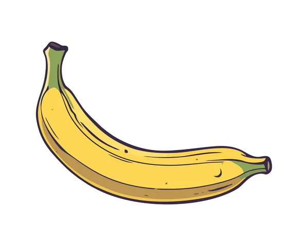 新鲜的黄色香蕉 一个健康的有机零食图标隔离 — 图库矢量图片