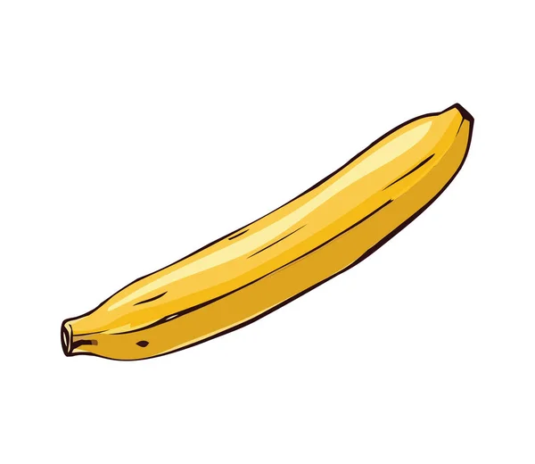 Banana Orgânica Fresca Ícone Saudável Lanche Vegetariano Isolado — Vetor de Stock