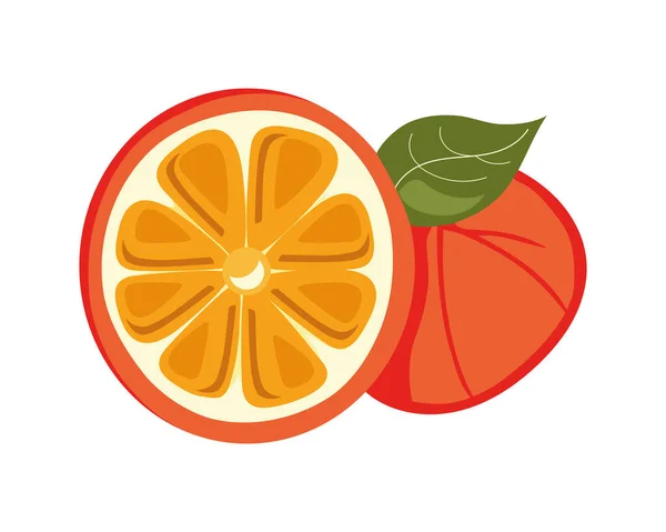 ジューシーな柑橘類のスライス 夏のリフレッシュアイコンに最適です隔離された — ストックベクタ