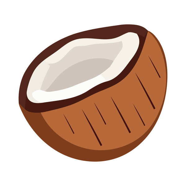 Fresh coconut, a healthy snack from nature icon isolated