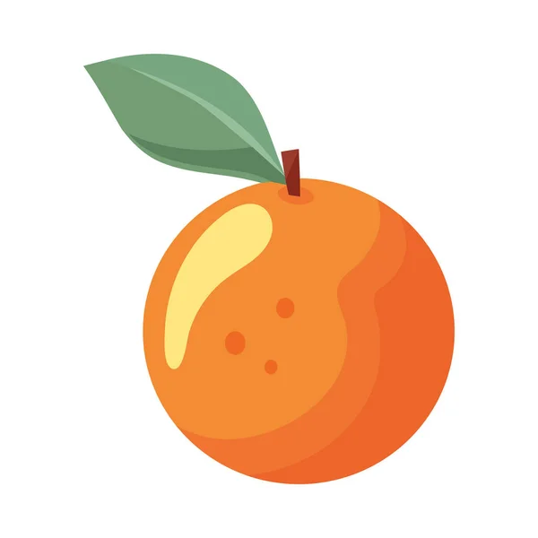 Icono Ilustración Naranja Cítricos Fruta Fresca Orgánica Aislado — Archivo Imágenes Vectoriales