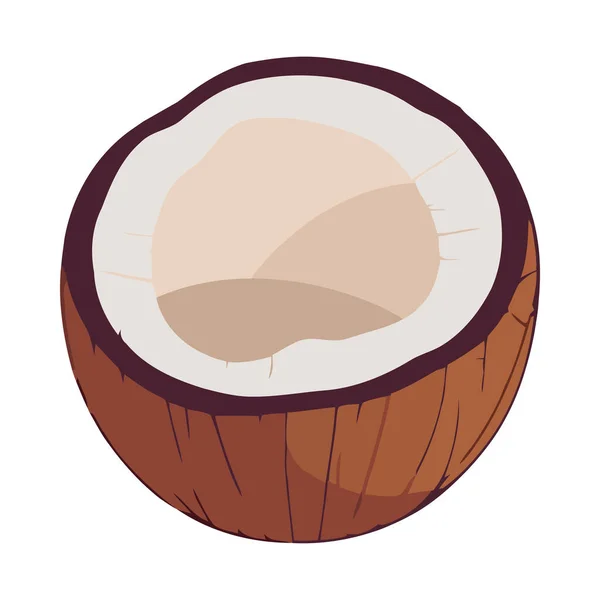 Verse Kokosmelk Een Gezond Tropisch Snack Icoon Geïsoleerd — Stockvector