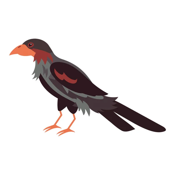 Uccello Con Icona Becco Affilato Isolato — Vettoriale Stock