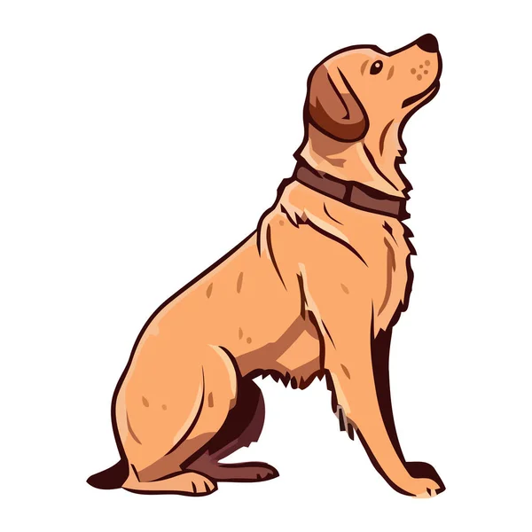 Loyal Labrador Assis Regardant Icône Isolé — Image vectorielle
