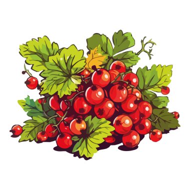 Olgun böğürtlen demeti, doğa bitki ikonundan taze izole