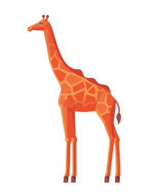Şirin zürafa ayakta duruyor, eğlenceli bir safari hayvan çizimi ikonu izole edilmiş.