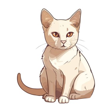 Tüylü yavru kedi oturuyor, büyüleyici bıyık simgesi izole edilmiş.