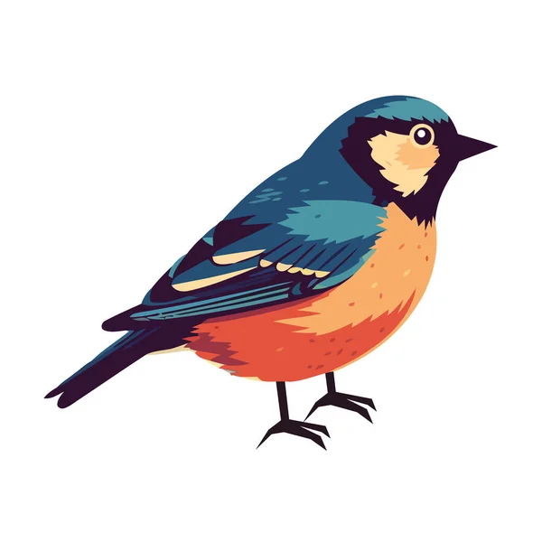 Маленька Мила Пісня Птах Ізольована — стоковий вектор