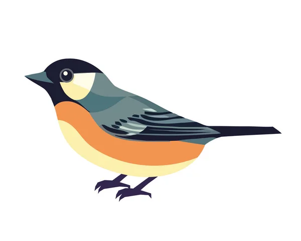 Cute Songbird Okonie Ikona Pióra Ogon Izolowane — Wektor stockowy