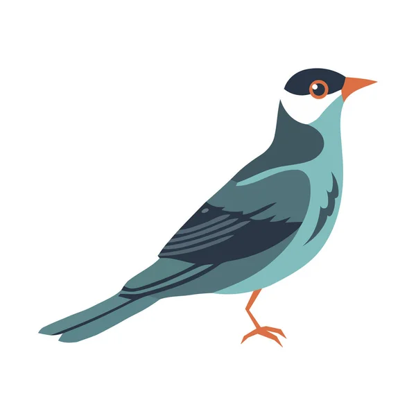 Cute Kreskówka Ptak Natura Piękno Ikona Izolowane — Wektor stockowy