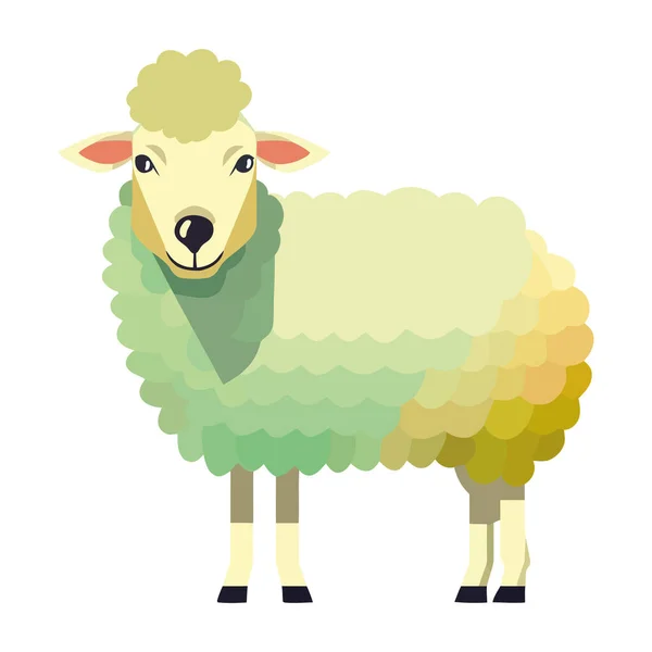 かわいい漫画羊のアイコン孤立デザイン — ストックベクタ
