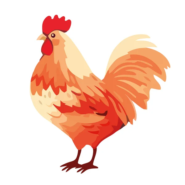 かわいい若い雄鶏立ち アイコン隔離されたデザイン — ストックベクタ