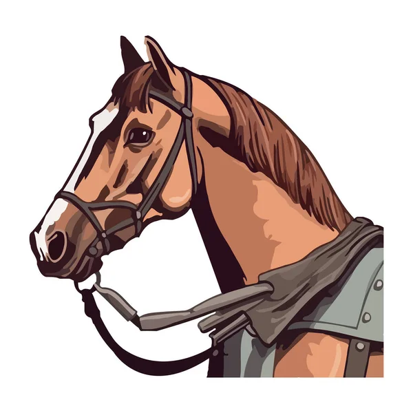 Mooie Hengst Portret Paardensport Competitie Icoon Geïsoleerd — Stockvector