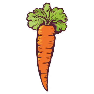 beyaz yerine sağlıklı havuç tasarımı