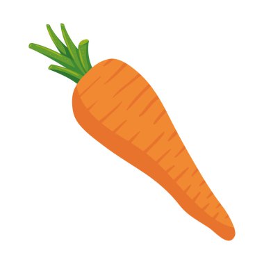 carrot vegetable organic icon isolated