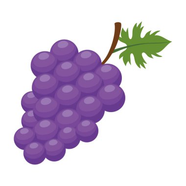 Üzüm meyvesi taze organik ikon izole