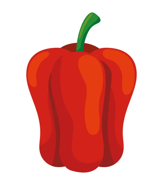 stock vector red bell peper vegetable organic icon isolated