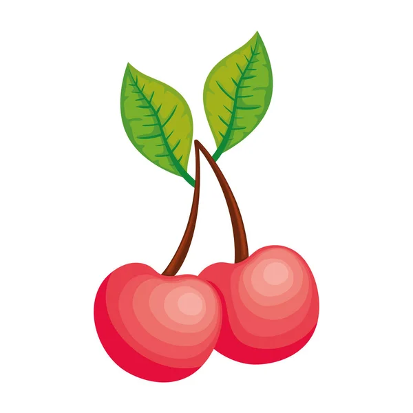 Cherry Fruit White Background Icon Isolated — Stock Vector