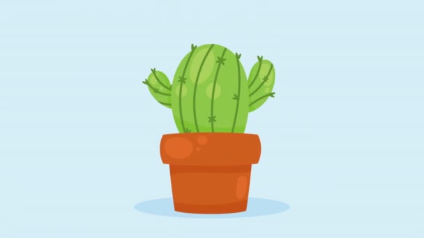 绿色仙人掌植物在壶动画4K视频动画 — 图库视频影像