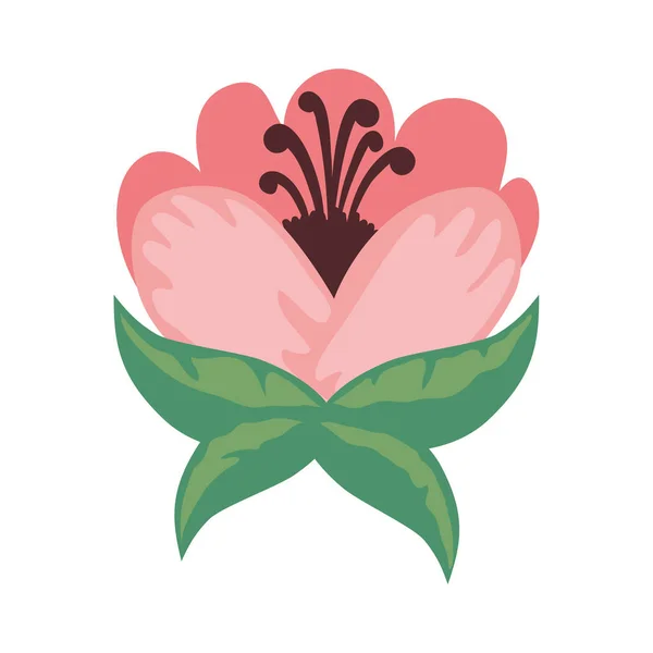 Pink Flower Leaf Icon Isolated — Stock Vector