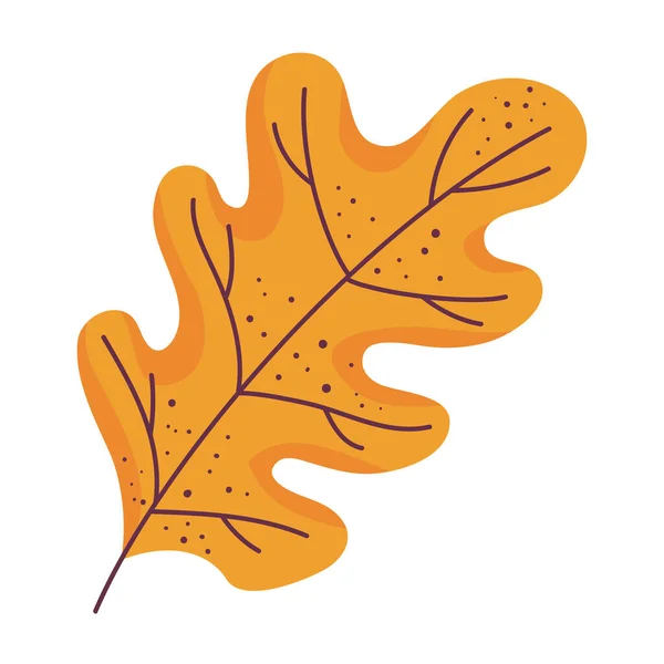 Autumn Leaf Nature Icon Isolated — Stock Vector