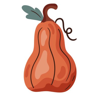 balkabağı taze sebze simgesi izole edilmiş