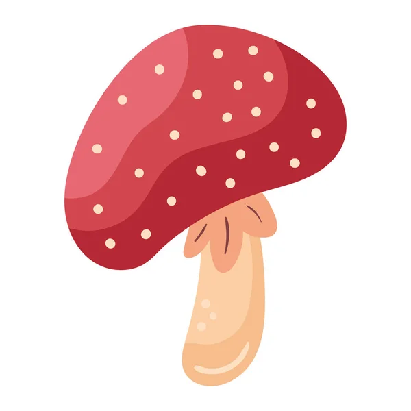 蘑菇秋季图标孤立的插图 — 图库矢量图片