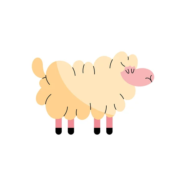 Schafe Doodle Illustration Vektor Isoliert — Stockvektor