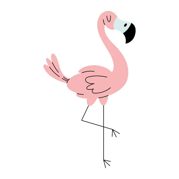 Flamingo Doodle Illustration Vector Isolated — Stock Vector