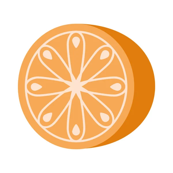 Pomarańczowy Plasterek Ilustracji Wektor Izolowane — Wektor stockowy