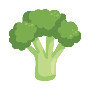 Brokoli taze sebze ikonu izole edildi