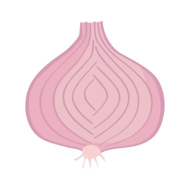 Soğan taze sebze ikonu izole edildi