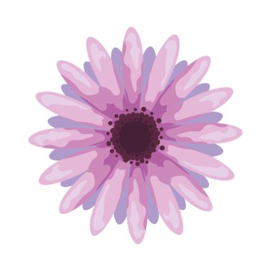 Çiçek yaprakları simgesi izole edilmiş