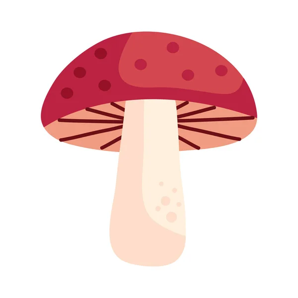 秋季蘑菇图标孤立的例证 — 图库矢量图片