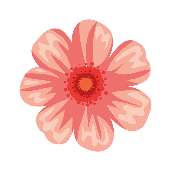 flower decoration icon isolated illustration