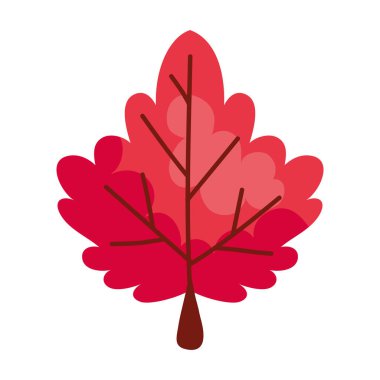 Sonbahar mevsimi yaprak doğa izole ikon