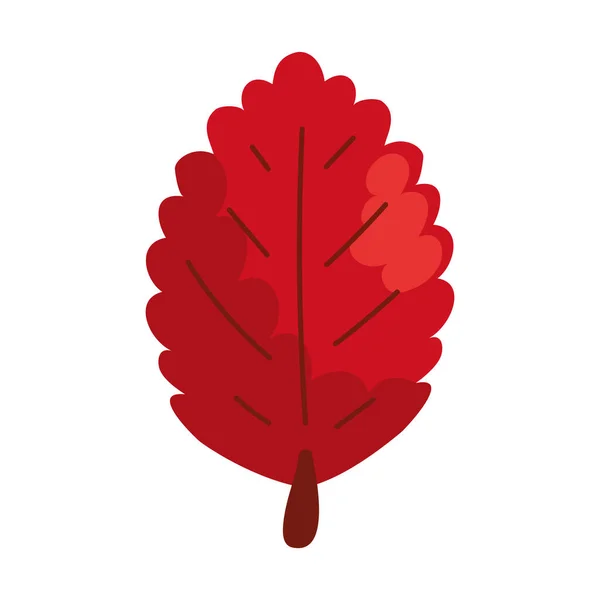 秋の紅葉のアイコン — ストックベクタ