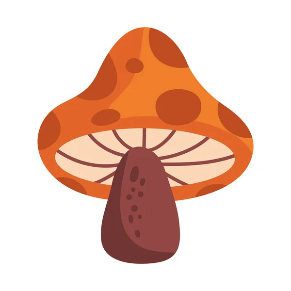 秋季蘑菇隔离图标 — 图库矢量图片