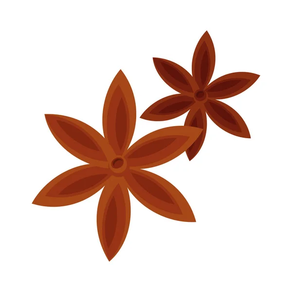 Star Anise Spice Icon Isolated — Stock Vector