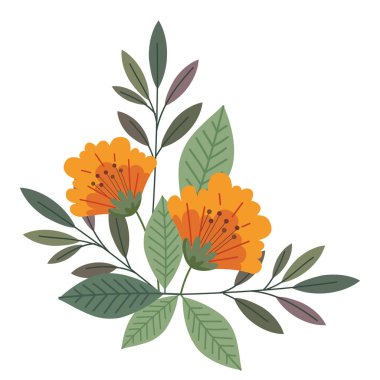 köşe çerçeve çiçekleri ve yapraklar izole edildi