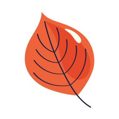 Sonbahar doğa yaprağı ikonu izole