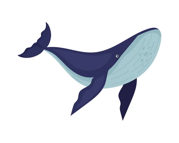 隔離されたハンプバック海洋哺乳類のイラスト — ストックベクタ