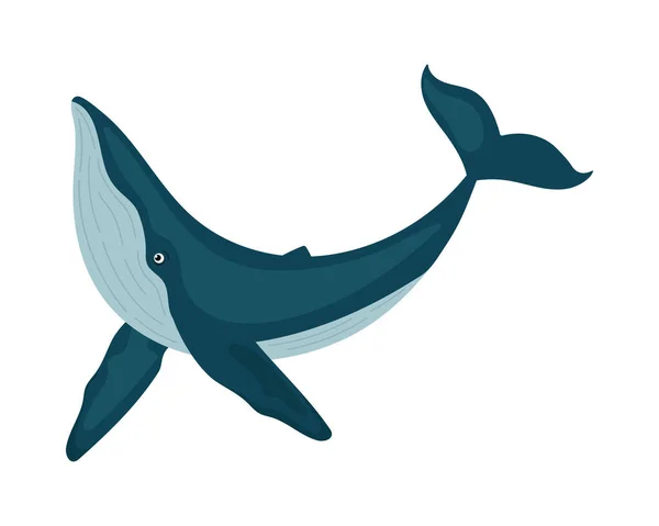 Buckelwale Sealife Illustration Isoliertes Design — Stockvektor