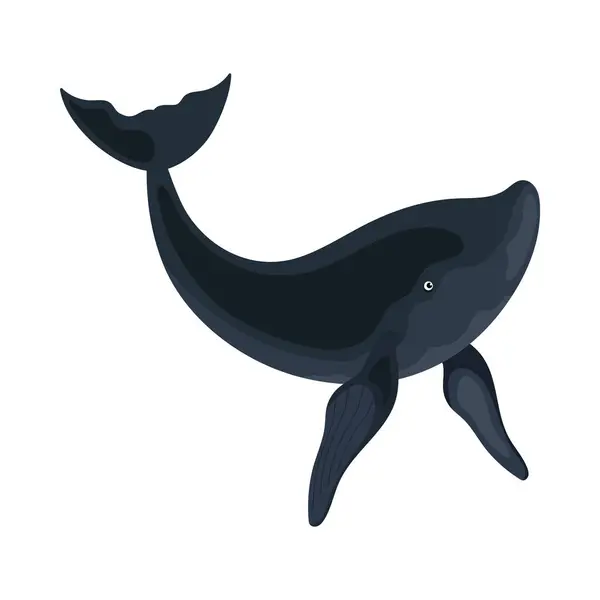 Hrbatý Sealife Zvíře Ilustrace Izolované — Stockový vektor