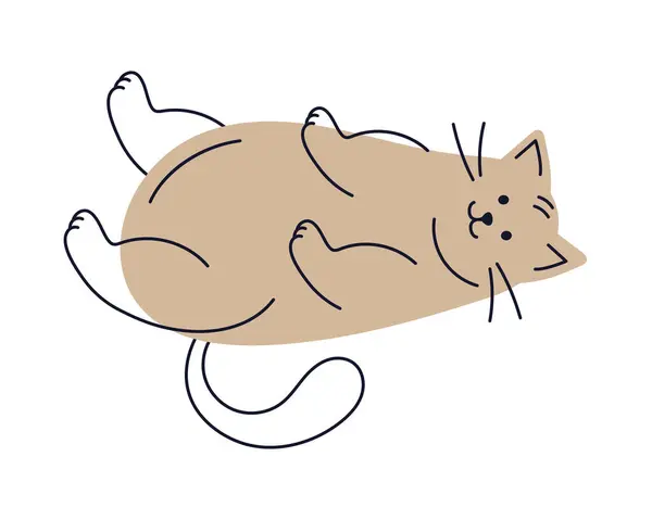 Gato Mascota Doméstico Ilustración Aislado Vector — Vector de stock