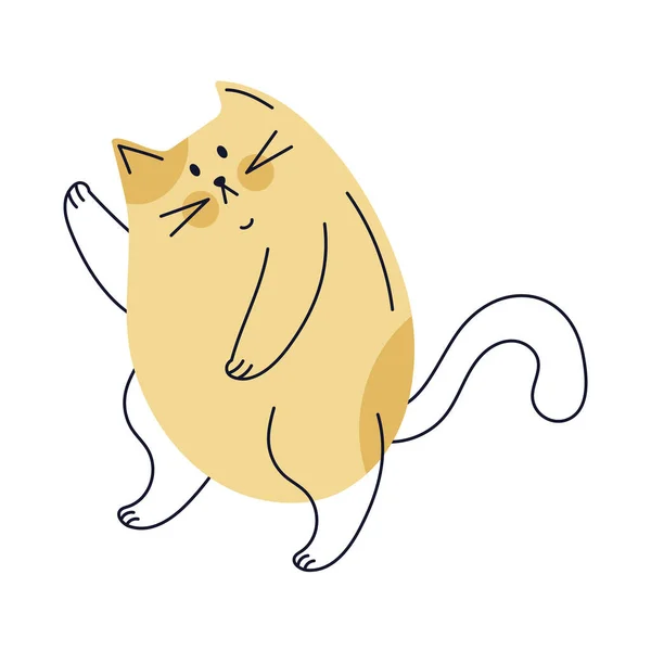 Kočka Maskot Karikatura Ilustrace Izolovaný Vektor — Stockový vektor